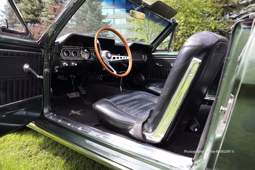Mustang 1966 Clonée Cobra GT