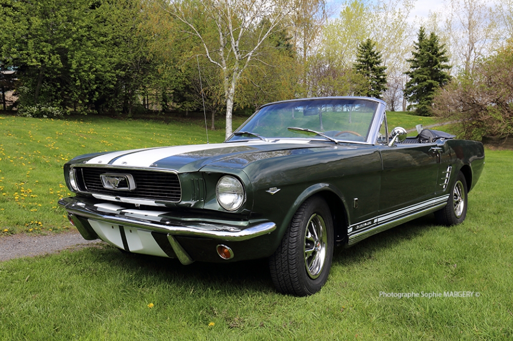 Mustang 1966 Clonée Cobra GT