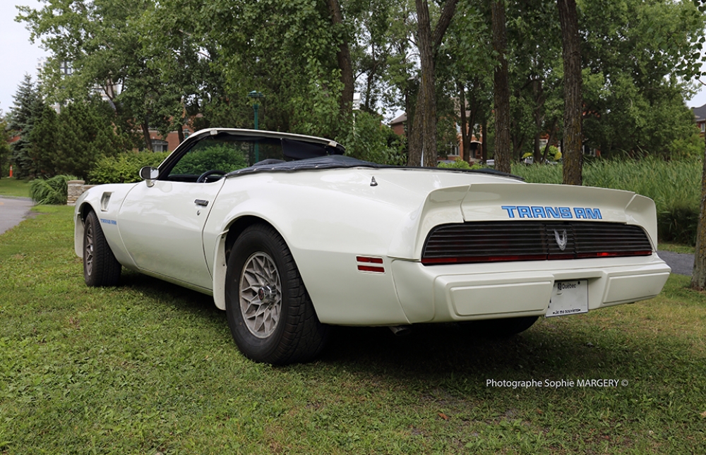 Pontiac Firebird 1981 – 2e génération