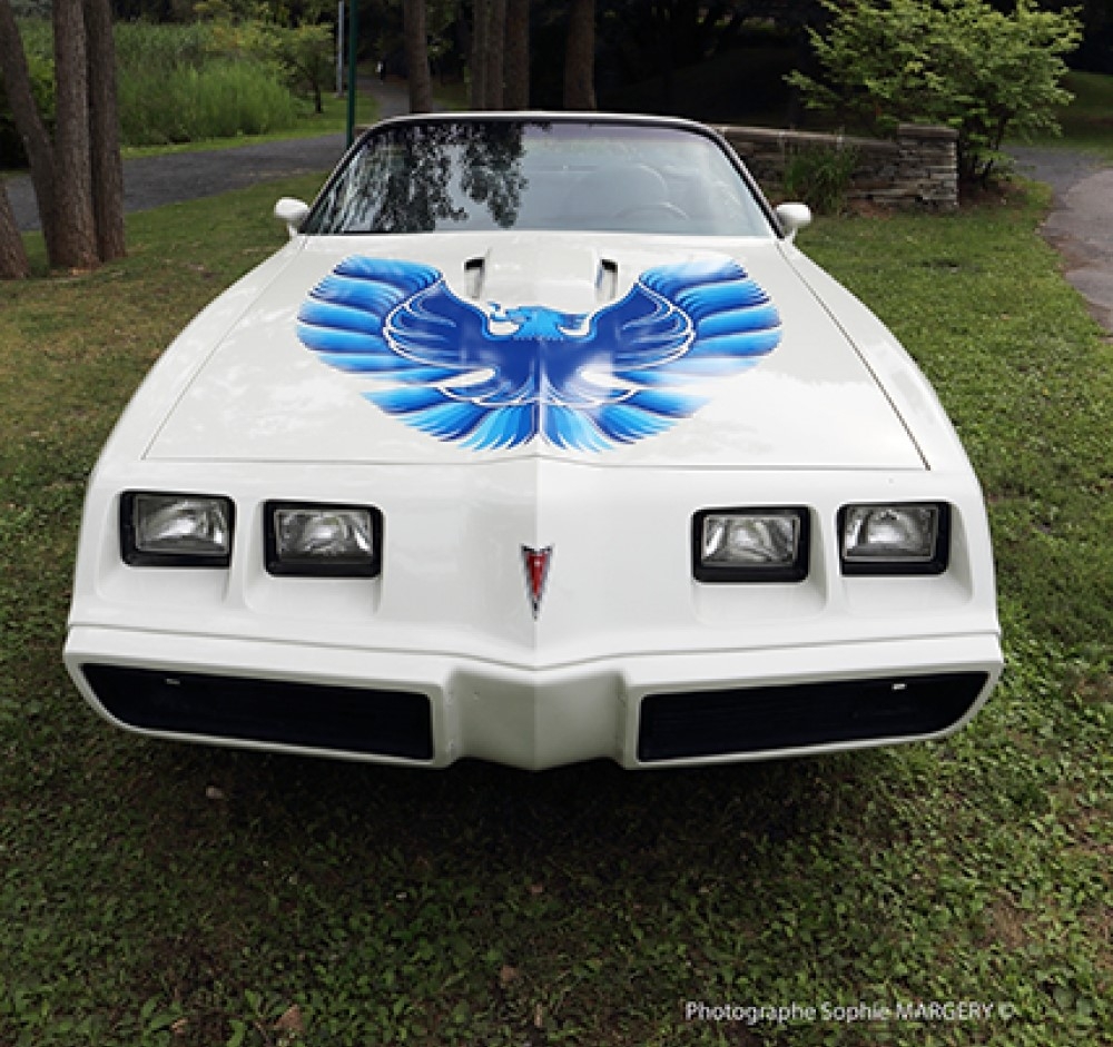 Pontiac Firebird 1981 – 2e génération