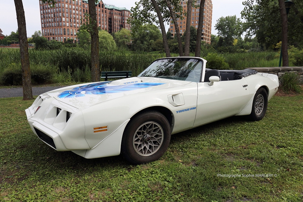 Pontiac Firebird 1981 – 2e génération